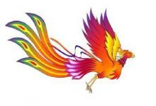 女人有鳳凰命和貴人命，具有哪些面相特征