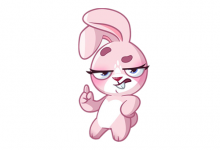 屬兔和屬豬相配嗎,兔和豬合不合