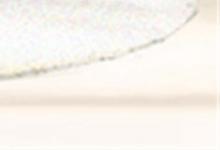 詳解:屬蛇辦公室風水布局技巧與注意事項