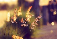 2019年農歷九月二十三日祈福適不適合 卦象是吉是兇?