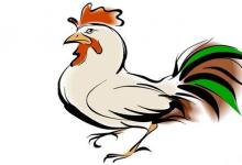 看生肖屬雞的人2020年運勢