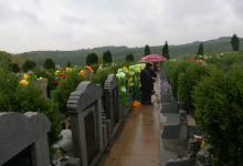 2019年農歷六月二十九上墳祭祖吉利嗎 上墳祭祖有何講究?