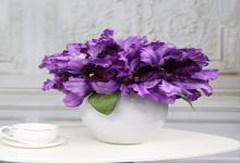 天蝎座準備公務員考試的辦法