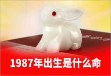1987年出生是什么命爐中火命