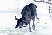 1961年屬牛的人2019年運勢大全及破解