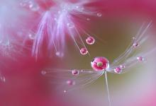 什么是龜眼，龜眼的人怎么樣