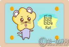 屬鼠男生該怎么成為一名優秀的男票