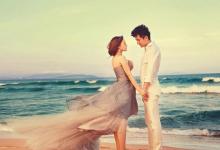 1995年屬豬的最為適當配偶