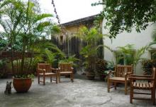 農村小院適合種什么樹