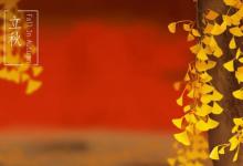 2019年農歷七月初八立秋提車好不好,2019年秋老虎熱嗎?