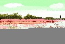 霹靂火命會(huì)是童子命人嗎 童子命好嗎