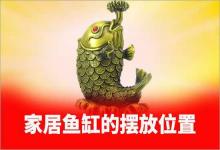 家居風(fēng)水學(xué)魚缸的擺放位置