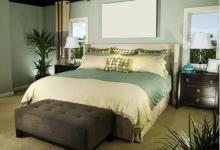 哪些風(fēng)水植物可以招桃花