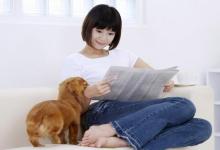 必看的養寵物風水知識大全