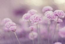 天河水命的人財運如何