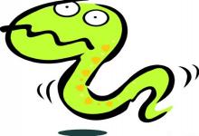 屬蛇幾點出生優秀命,子時丑時寅時