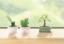 夢見自己種的花開了預示什么意思