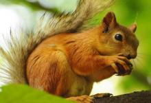 八字看你的情欲特征是怎樣的