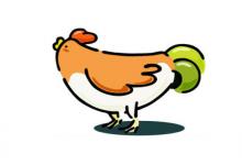 農(nóng)歷4月出生屬雞人命好嗎