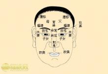 面相解析:面相十二宮詳解