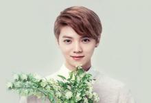 風(fēng)水中五行屬木的行業(yè)