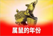 屬鼠的年份鼠人自查必看