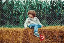 姓張的男孩名字大全2018屬狗