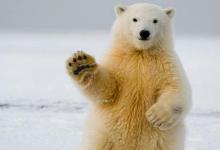 如何從命格看女人的愛情觀