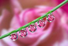 蘇氏面相學解讀(中篇)