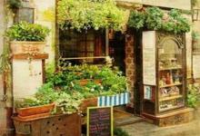 五行寄生十二宮——養(yǎng)詳解