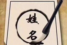 名字存在的意義是什么?