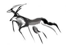 2015年屬羊的是什么命,15年出生的羊五行屬什么