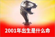 2001年出生是什么命白蠟金命