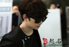 不同季節出生的屬狗人命運分析