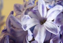 富豪企業(yè)家面相解讀——三風(fēng)水老師與五大富豪