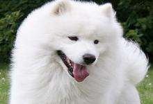 萌到炸的小仙女網名 比較招男生喜歡的網名