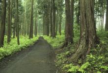 屬豬酉時(shí)出生的男寶寶如何起名 宜用什么字