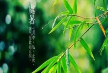 處暑節氣有什么禁忌?處暑前后節氣禁忌!