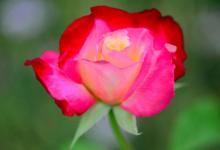 商業相面術——從身份、志向看客戶氣質與容貌