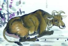 1985年屬牛的哪年運不好,羊年要倒霉