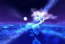 2019年七夕節(jié)會(huì)不會(huì)放假,關(guān)于牛郎織女的詩(shī)句有哪些？