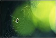 2019年農歷九月初一是黃道吉日好日子嗎?