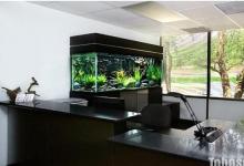 辦公室魚缸擺放位置風(fēng)水圖解