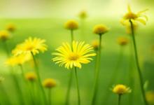 面相百態(tài)相法總論(上篇)