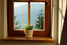 吳彥祖面相分析,吳彥祖鼻子面相