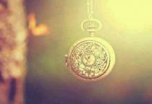 2017年屬雞的陳姓男寶寶起名