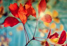 2019年陰歷八月十七日子能祈福嗎 祈福有什么講究？