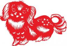 看生肖屬狗的人2020年運勢