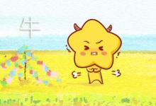 屬虎和屬牛婚配好不好 配對優缺點