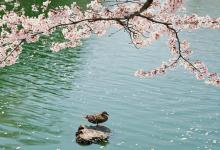 八字教你如何找一個好老公